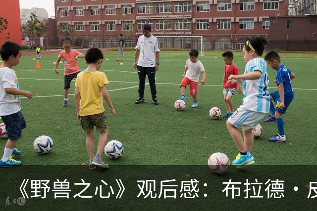 《野兽之心》观后感：布拉德·皮特，你真的让我哭惨了