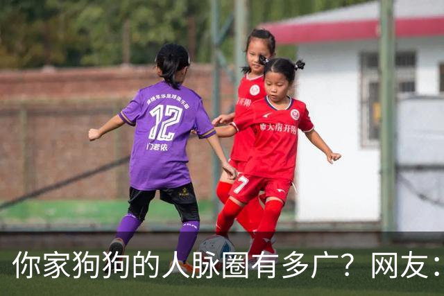 你家狗狗的人脉圈有多广？网友：我也是只认识狗不认识狗主人