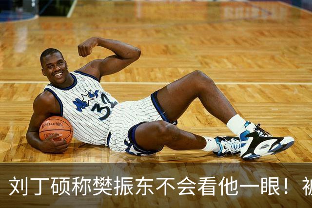刘丁硕称樊振东不会看他一眼！被质疑以德报怨：2次公开落井下石