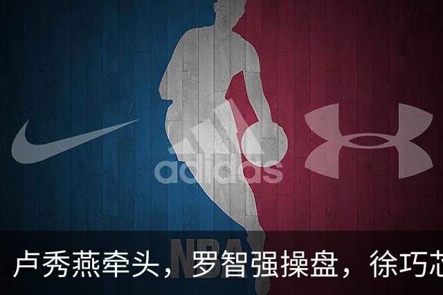 卢秀燕牵头，罗智强操盘，徐巧芯执行，蒋万安组建国民党最强战队