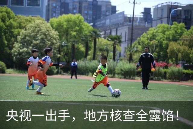 央视一出手，地方核查全露馅！