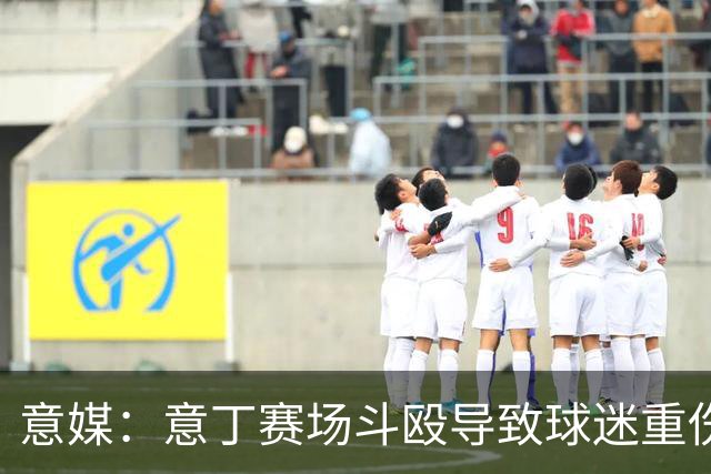 意媒：意丁赛场斗殴导致球迷重伤，11人被处5至10年观赛禁令
