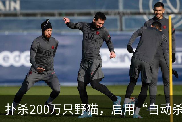 扑杀200万只野猫，启用“自动杀猫机”，对家猫“宵禁”……澳大利亚为什么不肯放过野生“哈基米”？