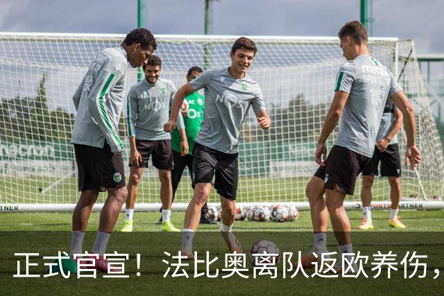 正式官宣！法比奥离队返欧养伤，国安提前解约纯属无稽之谈