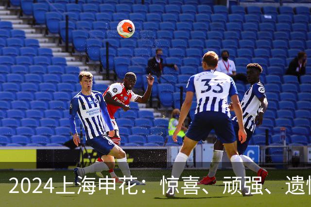 2024上海申花：惊喜、顽强、遗憾--明年拿冠军