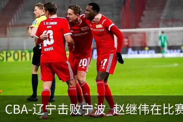CBA-辽宁击败宁波 赵继伟在比赛中